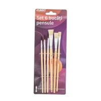 Kunst Set 6 Buc Pensule
