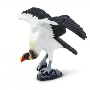 Vultur regal