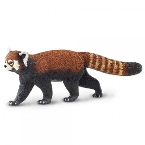 Panda rosu