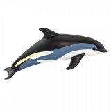 Delfin cu laterale albe