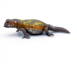 Iguana figurina 15 cm
