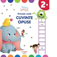 Disney Bebe. Primele mele cuvinte opuse