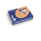 Carton color Clairefontaine Pastel, Caramel