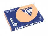 Carton color Clairefontaine Pastel A3, Apricot