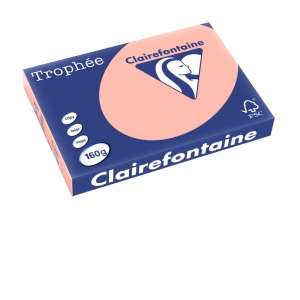 Carton color Clairefontaine Pastel A3, Peach