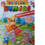 Coloram Numere - Invatam sa scriem cifre