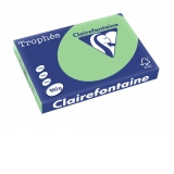 Carton color Clairefontaine Pastel A3, Verde