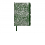 Notebook coperta tare piele, A5, 144 pagini, Clairefontaine Celeste, Green laser + Silver