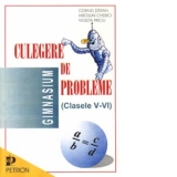 Culegere de probleme  - (clasele V-VI)