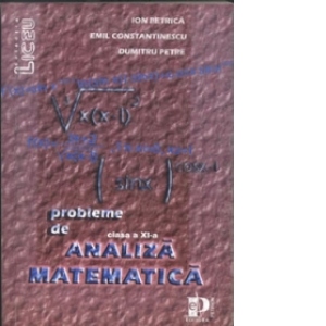 Probleme de analiza matematica  - (clasa a XI-a)