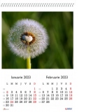 Calendar 2023 de perete A3, Flori