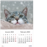 Calendar 2024 de perete A3, Pisici