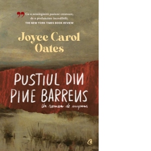 Pustiul din Pine Barrens. Un roman de suspans