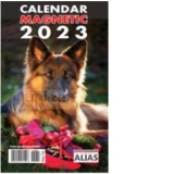 Calendar magnetic 2023 Caini