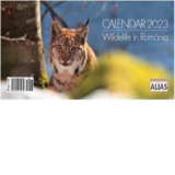 Calendar de birou Wildlife 2023