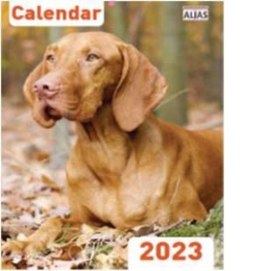 Calendar de perete 2023 Caini