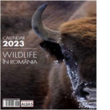 Calendar de perete 2023. Wildlife in Romania