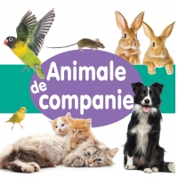 Animale de companie (cartonata)