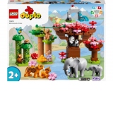 LEGO DUPLO - Animale din Asia 10974, 117 piese