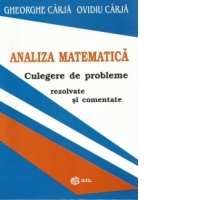 Analiza matematica - culegere de probleme rezolvate si comentate