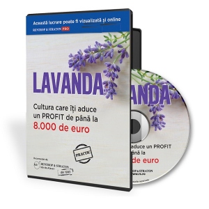 Lavanda, cultura care iti aduce minimum 8.000 de euro profit (Audiobook)