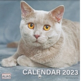Mini calendar de perete 2023. Pisici