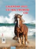 Calendar de perete 2023 - Cei mai frumosi cai