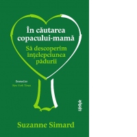 In cautarea copacului-mama. Sa descoperim intelepciunea padurii