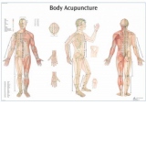 Plansa Meridianele si punctele acupuncturii pe corpul uman
