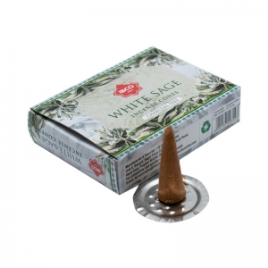 Conuri parfumate Salvie Alba, IBCO India, 10 buc