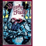 Sleeping Beauty : The Graphic Novel