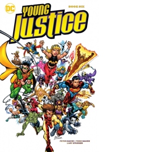 Young Justice Book Six