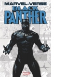 Marvel-verse: Black Panther