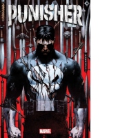 Punisher Vol. 1