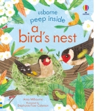 Peep Inside a Bird's Nest