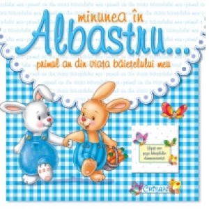 Minunea in Albastru - Primul an din viata baietelului meu