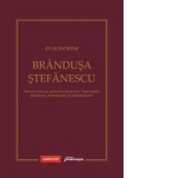 In Honorem Brandusa Stefanescu . Interpretarea si aplicarea dreptului. Suprematie, prioritate, preeminenta si subsidiaritate