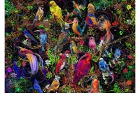 Puzzle Arta Pasarilor, 1000 Piese