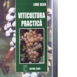 Viticultura practica