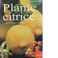 Plante citrice - pentru sere si terase