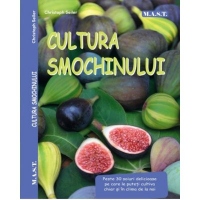 Cultura smochinului
