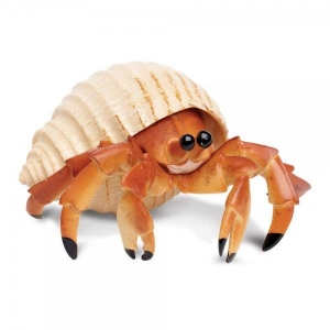 Crab-eremit