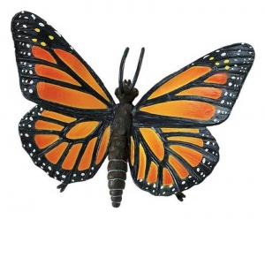 Fluture Monarh