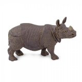 Rinocer indian