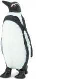 Pinguinul Humboldt