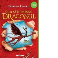 Cum sa-ti dresezi dragonul
