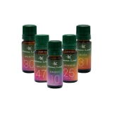 Set 5 uleiuri aromaterapie parfumate Office, Aroma Land, 10 ml