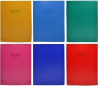 Caiet dictando, A5, 48 file, coperta PP, diverse modele, Nebo