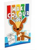 Carte de colorat Maxi Colour 2