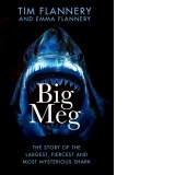 Big Meg : The Story of the Largest, Fiercest and Most Mysterious Shark